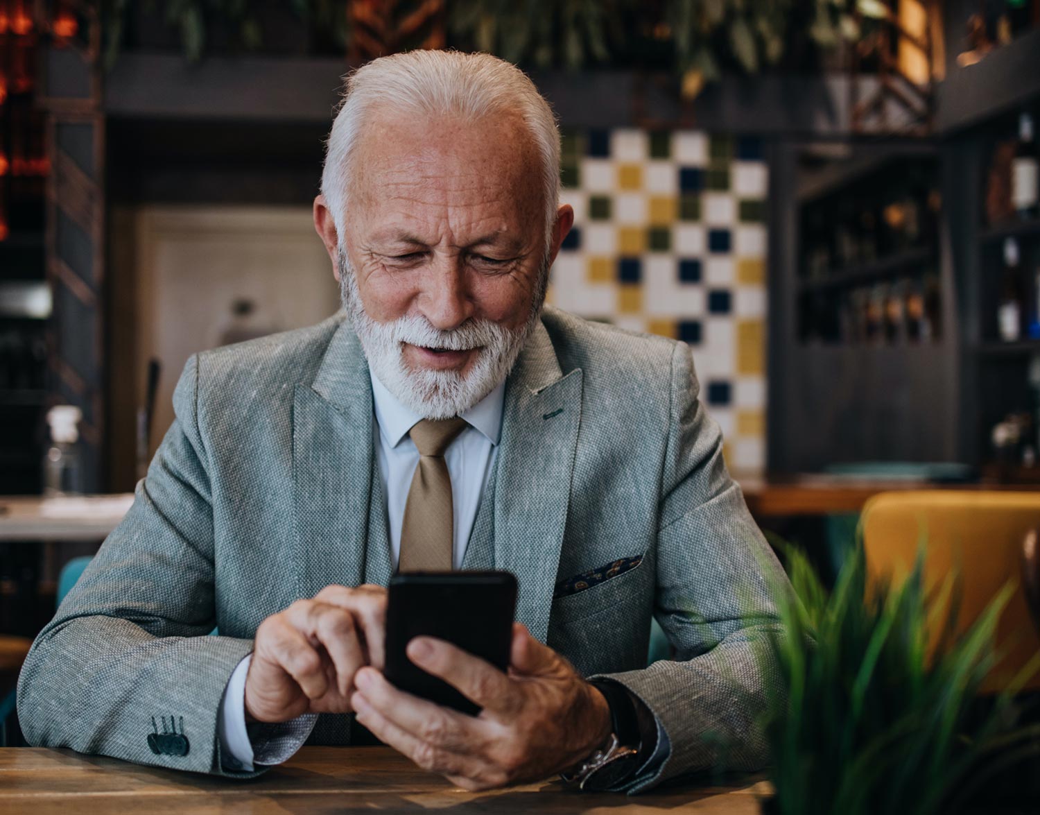 telephone portable senior