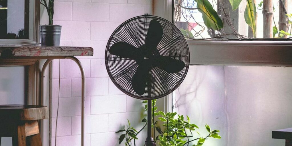 ventilateur plante logement